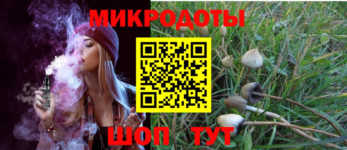 Новодвинск  Псилоцибиновые грибы Cubensis  купить  цена  Вход с VPN 